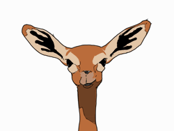 Gif animé antilope mache